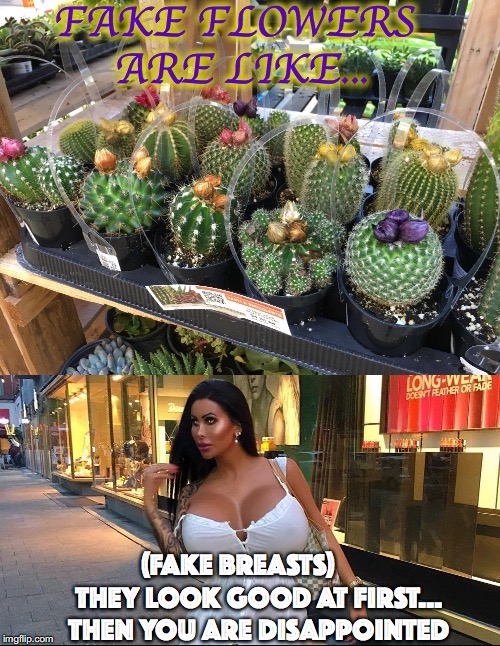 Fake Flowers Are.... | image tagged in fake,flowers,breasts,implants,look good,disappointed | made w/ Imgflip meme maker