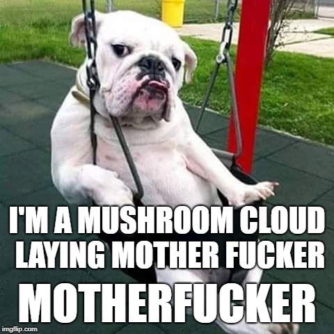 bulldog thug | I'M A MUSHROOM CLOUD LAYING MOTHER FUCKER; MOTHERFUCKER | image tagged in bulldog thug | made w/ Imgflip meme maker