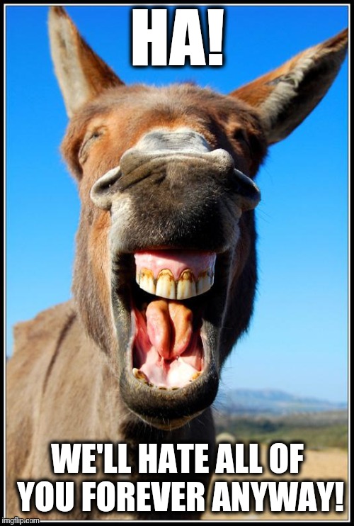 Happy Donkey | HA! WE'LL HATE ALL OF YOU FOREVER ANYWAY! | image tagged in happy donkey | made w/ Imgflip meme maker