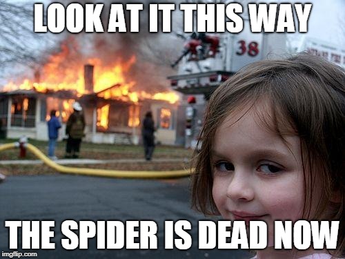 Not so bad. | LOOK AT IT THIS WAY; THE SPIDER IS DEAD NOW | image tagged in memes,disaster girl,spider | made w/ Imgflip meme maker