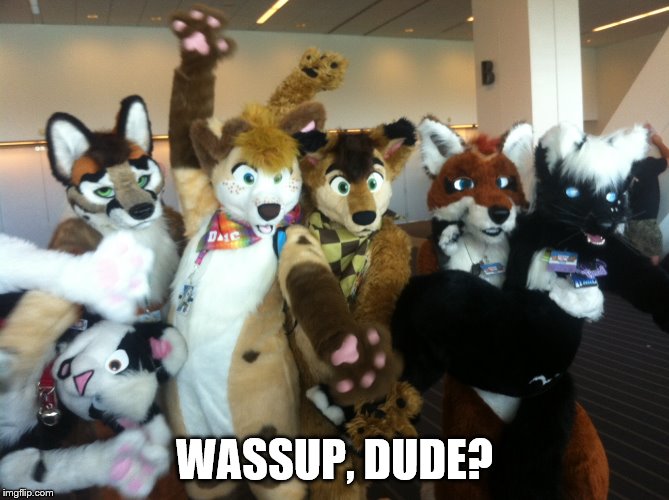 Furries | WASSUP, DUDE? | image tagged in furries | made w/ Imgflip meme maker
