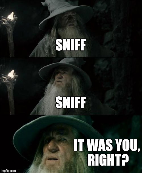 Confused Gandalf Meme | SNIFF; SNIFF; IT WAS YOU, RIGHT? | image tagged in memes,confused gandalf | made w/ Imgflip meme maker