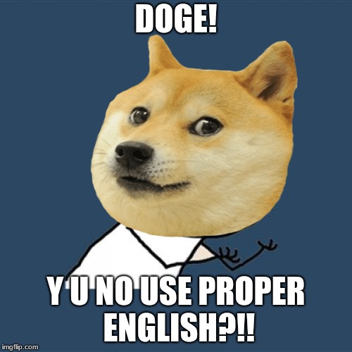 Y U NO Doge | DOGE! Y U NO USE PROPER ENGLISH?!! | image tagged in y u no,doge | made w/ Imgflip meme maker