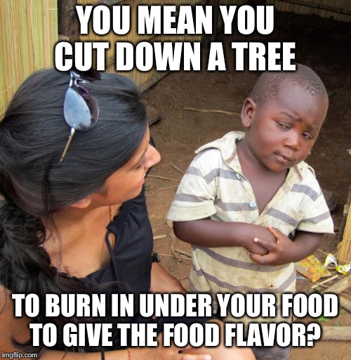 3rd World Sceptical Child | YOU MEAN YOU CUT DOWN A TREE; TO BURN IN UNDER YOUR FOOD TO GIVE THE FOOD FLAVOR? | image tagged in 3rd world sceptical child | made w/ Imgflip meme maker