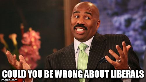 Steve Harvey | COULD YOU BE WRONG ABOUT LIBERALS | image tagged in memes,steve harvey,could you be wrong about that,liberal,liberals,liberalism | made w/ Imgflip meme maker