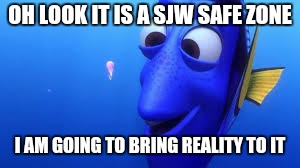Safe zones | OH LOOK IT IS A SJW SAFE ZONE; I AM GOING TO BRING REALITY TO IT | image tagged in memes | made w/ Imgflip meme maker