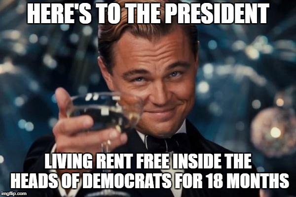 Leonardo Dicaprio Cheers |  HERE'S TO THE PRESIDENT; LIVING RENT FREE INSIDE THE HEADS OF DEMOCRATS FOR 18 MONTHS | image tagged in memes,leonardo dicaprio cheers | made w/ Imgflip meme maker