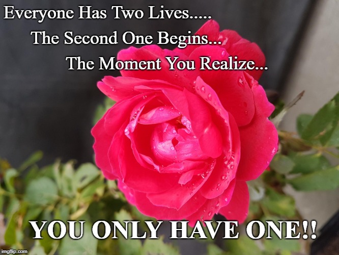Two Lives | Everyone Has Two Lives..... The Second One Begins... The Moment You Realize... YOU ONLY HAVE ONE!! | image tagged in well of uncomfortable truths | made w/ Imgflip meme maker