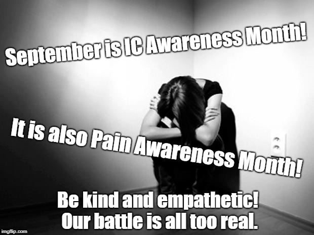 DEPRESSION SADNESS HURT PAIN ANXIETY | September is IC Awareness Month! It is also Pain Awareness Month! Be kind and empathetic! Our battle is all too real. | image tagged in depression sadness hurt pain anxiety | made w/ Imgflip meme maker