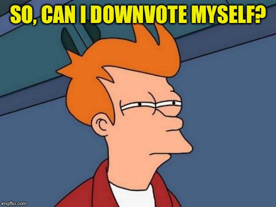 Futurama Fry Meme | SO, CAN I DOWNVOTE MYSELF? | image tagged in memes,futurama fry | made w/ Imgflip meme maker