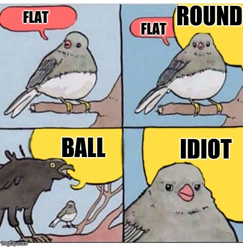 Flat Earth discussion | ROUND; FLAT; FLAT; BALL; IDIOT | image tagged in annoyed bird | made w/ Imgflip meme maker