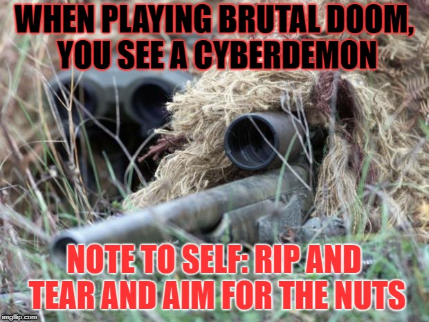 British Sniper Team | WHEN PLAYING BRUTAL DOOM, YOU SEE A CYBERDEMON; NOTE TO SELF: RIP AND TEAR AND AIM FOR THE NUTS | image tagged in british sniper team | made w/ Imgflip meme maker