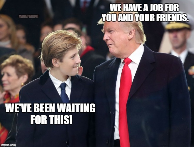 Barron Trump And The Anon Army | WE HAVE A JOB FOR YOU AND YOUR FRIENDS. MAGA PATRIOT; WE'VE BEEN WAITING FOR THIS! | image tagged in qanon,4chan,the great awakening,donald trump,funny meme | made w/ Imgflip meme maker