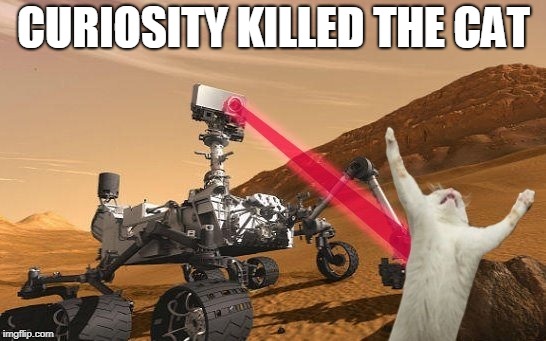 Rover vs Cat | CURIOSITY KILLED THE CAT | image tagged in mars,cat | made w/ Imgflip meme maker