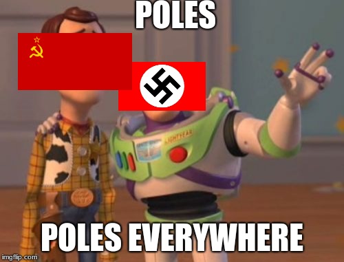 Poles! Poles everywhere! | POLES; POLES EVERYWHERE | image tagged in memes,x x everywhere | made w/ Imgflip meme maker