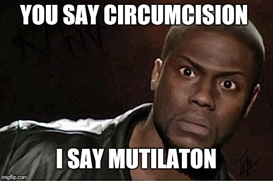 You say tomato. I say red rubber ball. | YOU SAY CIRCUMCISION; I SAY MUTILATON | image tagged in memes,kevin hart | made w/ Imgflip meme maker