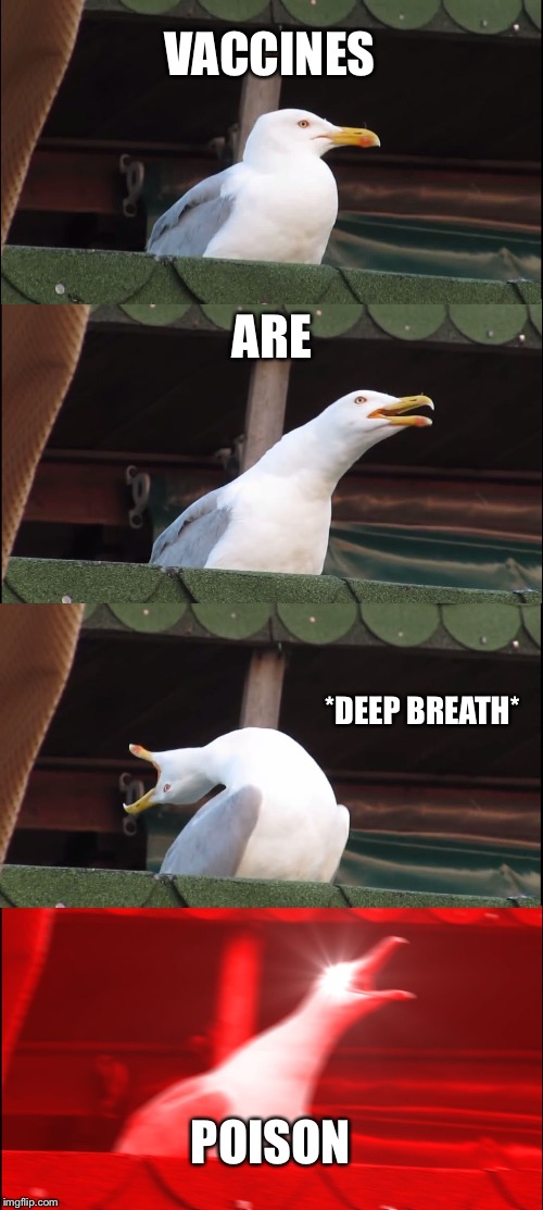 Inhaling Seagull Meme | VACCINES; ARE; *DEEP BREATH*; POISON | image tagged in memes,inhaling seagull | made w/ Imgflip meme maker