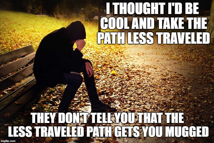 disappointment | I THOUGHT I'D BE COOL AND TAKE THE PATH LESS TRAVELED; THEY DON'T TELL YOU THAT THE LESS TRAVELED PATH GETS YOU MUGGED | image tagged in disappointment | made w/ Imgflip meme maker