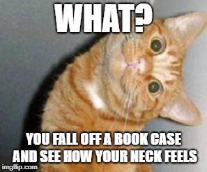 Cat has a question | WHAT? YOU FALL OFF A BOOK CASE AND SEE HOW YOUR NECK FEELS | image tagged in cat has a question | made w/ Imgflip meme maker