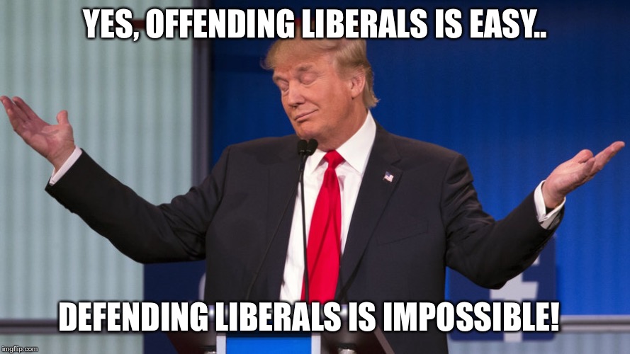 Believe me! | YES, OFFENDING LIBERALS IS EASY.. DEFENDING LIBERALS IS IMPOSSIBLE! | image tagged in maga | made w/ Imgflip meme maker