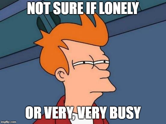 Futurama Fry Meme | NOT SURE IF LONELY OR VERY, VERY BUSY | image tagged in memes,futurama fry | made w/ Imgflip meme maker