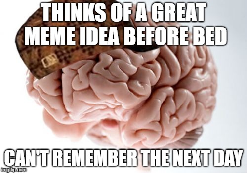 Scumbag Brain | THINKS OF A GREAT MEME IDEA BEFORE BED; CAN'T REMEMBER THE NEXT DAY | image tagged in memes,scumbag brain | made w/ Imgflip meme maker