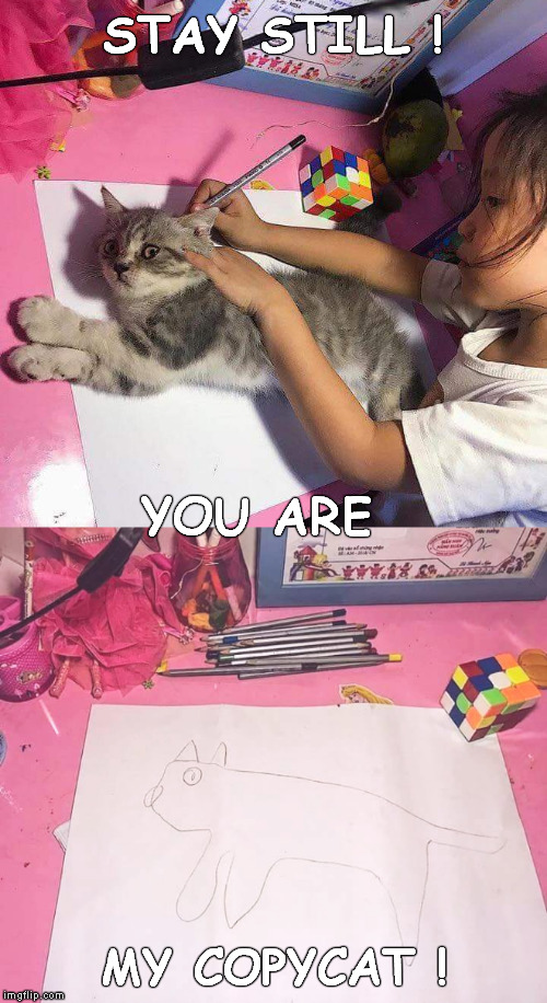 Prodigy | STAY STILL ! YOU ARE; MY COPYCAT ! | image tagged in memes,funny,genius,pets,kittens,kitten | made w/ Imgflip meme maker
