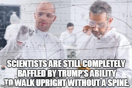 british scientists | SCIENTISTS ARE STILL COMPLETELY BAFFLED BY TRUMP'S ABILITY TO WALK UPRIGHT WITHOUT A SPINE. | image tagged in british scientists | made w/ Imgflip meme maker