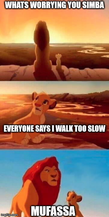 Lion King | WHATS WORRYING YOU SIMBA; EVERYONE SAYS I WALK TOO SLOW; MUFASSA | image tagged in lion king | made w/ Imgflip meme maker