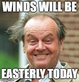 WINDS WILL BE EASTERLY TODAY | image tagged in jack nicholson crazy hair | made w/ Imgflip meme maker