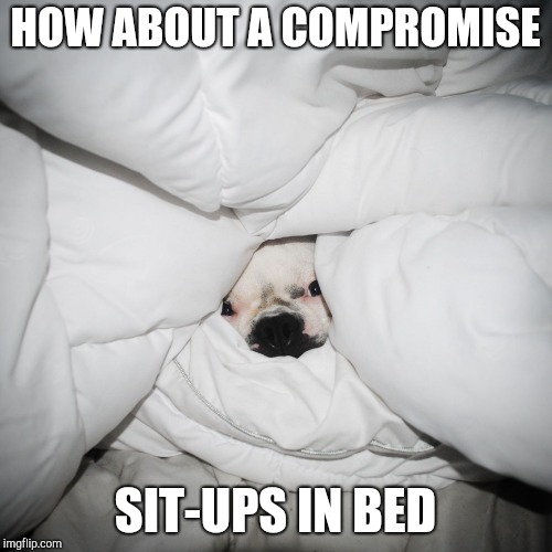 DOG HIDING UNDER THE COVERS | HOW ABOUT A COMPROMISE SIT-UPS IN BED | image tagged in dog hiding under the covers | made w/ Imgflip meme maker