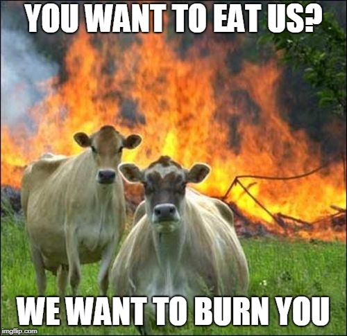 Evil Cows Meme | YOU WANT TO EAT US? WE WANT TO BURN YOU | image tagged in memes,evil cows | made w/ Imgflip meme maker