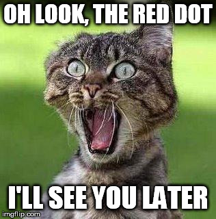 Shocked Cat | OH LOOK, THE RED DOT I'LL SEE YOU LATER | image tagged in shocked cat | made w/ Imgflip meme maker