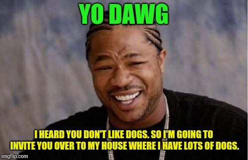 Yo Dawg Heard You Meme | YO DAWG; I HEARD YOU DON'T LIKE DOGS. SO I'M GOING TO INVITE YOU OVER TO MY HOUSE WHERE I HAVE LOTS OF DOGS. | image tagged in memes,yo dawg heard you | made w/ Imgflip meme maker
