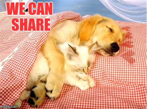 WE CAN SHARE | made w/ Imgflip meme maker