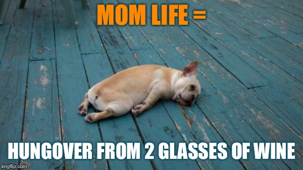 tired dog | MOM LIFE =; HUNGOVER FROM 2 GLASSES OF WINE | image tagged in tired dog | made w/ Imgflip meme maker