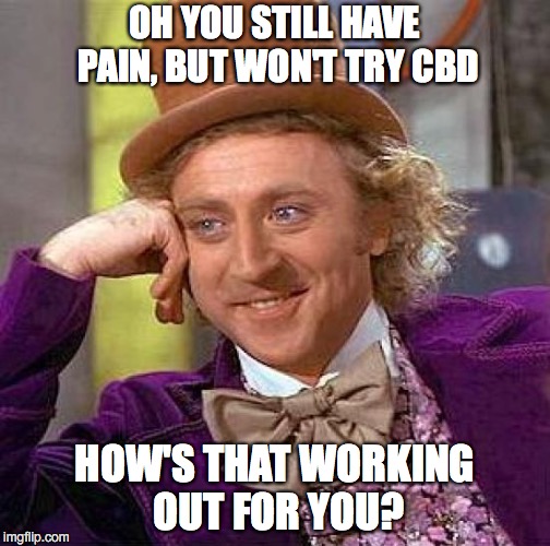 Creepy Condescending Wonka Meme | OH YOU STILL HAVE PAIN, BUT WON'T TRY CBD; HOW'S THAT WORKING OUT FOR YOU? | image tagged in memes,creepy condescending wonka | made w/ Imgflip meme maker