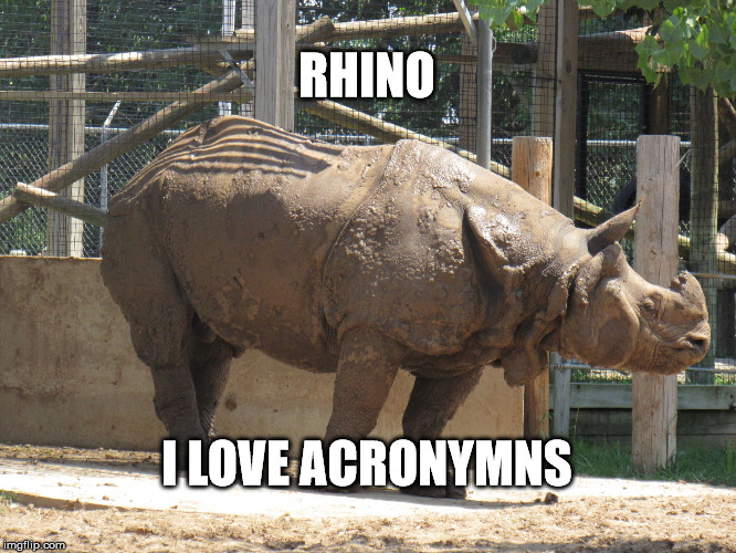 rhino know | RHINO I LOVE ACRONYMNS | image tagged in rhino know | made w/ Imgflip meme maker