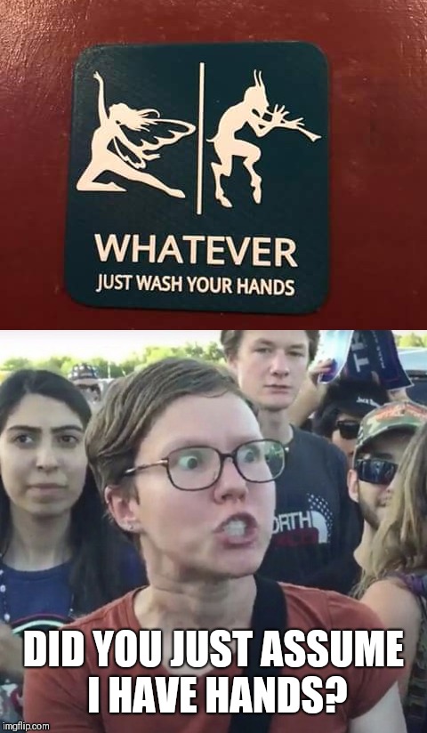 DID YOU JUST ASSUME I HAVE HANDS? | image tagged in funny memes,triggered liberal | made w/ Imgflip meme maker