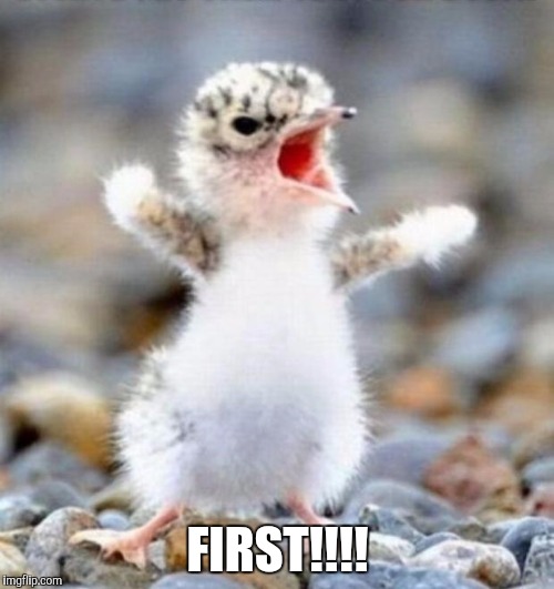 Early Bird!!! | FIRST!!!! | image tagged in early bird | made w/ Imgflip meme maker
