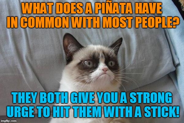WHAT DOES A PIÑATA HAVE IN COMMON WITH MOST PEOPLE? THEY BOTH GIVE YOU A STRONG URGE TO HIT THEM WITH A STICK! | made w/ Imgflip meme maker