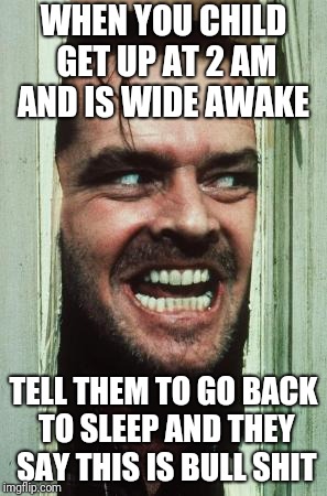 Here's Johnny Meme | WHEN YOU CHILD GET UP AT 2 AM AND IS WIDE AWAKE; TELL THEM TO GO BACK TO SLEEP AND THEY SAY THIS IS BULL SHIT | image tagged in memes,heres johnny | made w/ Imgflip meme maker