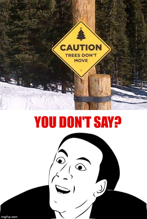 I did not know that. | YOU DON'T SAY? | image tagged in you don't say,memes,funny meme,funny street signs,funny sign,caution sign | made w/ Imgflip meme maker
