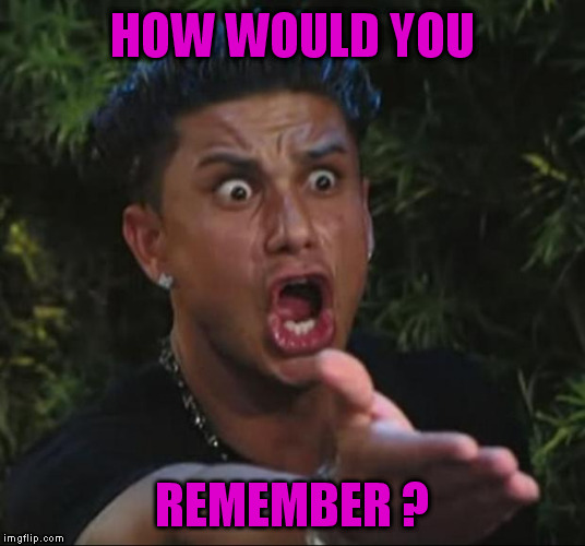 DJ Pauly D Meme | HOW WOULD YOU REMEMBER ? | image tagged in memes,dj pauly d | made w/ Imgflip meme maker