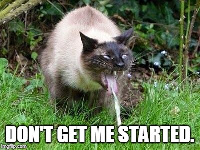 Cat Barfing | DON'T GET ME STARTED. | image tagged in cat barfing | made w/ Imgflip meme maker