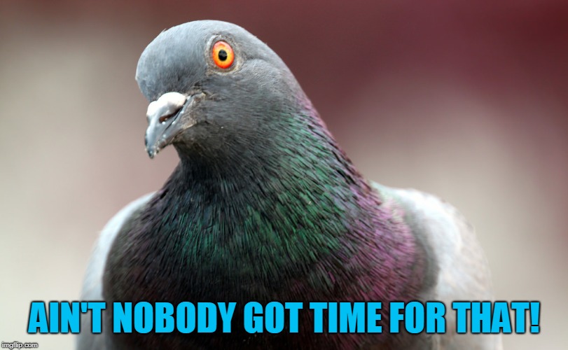 AIN'T NOBODY GOT TIME FOR THAT! | made w/ Imgflip meme maker