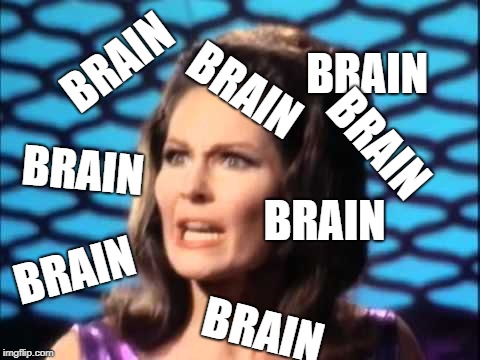 What is brain? | BRAIN; BRAIN; BRAIN; BRAIN; BRAIN; BRAIN; BRAIN; BRAIN | image tagged in tos,brain,questions,worst episode ever | made w/ Imgflip meme maker