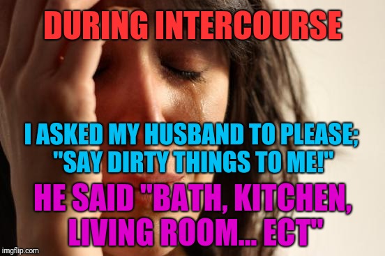 First World Problems Meme | DURING INTERCOURSE; I ASKED MY HUSBAND TO PLEASE; "SAY DIRTY THINGS TO ME!"; HE SAID "BATH, KITCHEN, LIVING ROOM... ECT" | image tagged in memes,first world problems | made w/ Imgflip meme maker