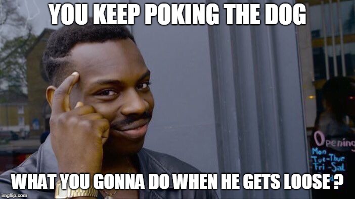 Roll Safe Think About It Meme | YOU KEEP POKING THE DOG; WHAT YOU GONNA DO WHEN HE GETS LOOSE ? | image tagged in memes,roll safe think about it | made w/ Imgflip meme maker