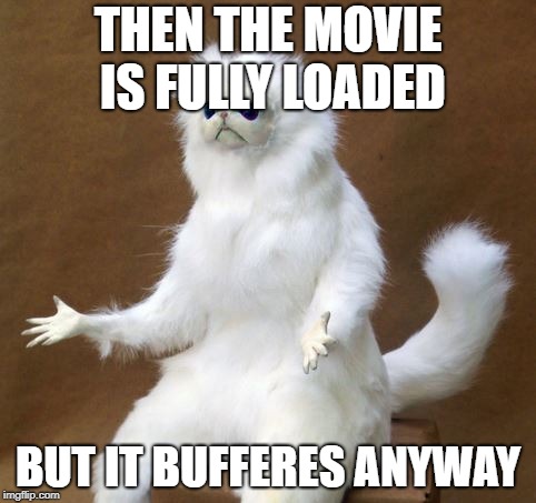 y u do this cat | THEN THE MOVIE IS FULLY LOADED; BUT IT BUFFERES ANYWAY | image tagged in y u do this cat | made w/ Imgflip meme maker